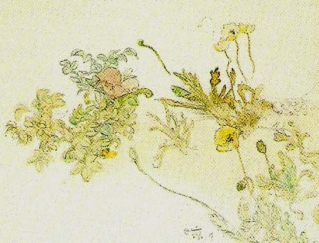 Carl Larsson blommor- nyponros och backsippor France oil painting art